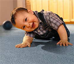 carpet cleaning cypress tx