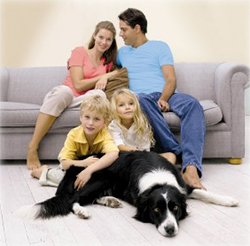 Carpet Cleaning Company cypress tx
